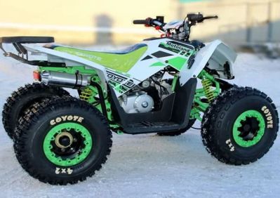 купить Квадроцикл MOTOLAND 125 Coyote (2021 Г.) в Москве - фото 
