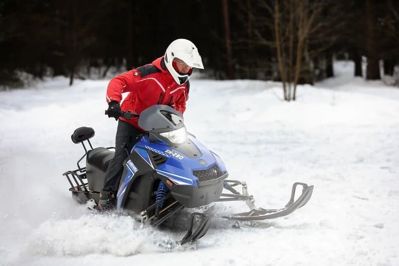 купить Снегоход SHARMAX SN-280 в Москве - фото 