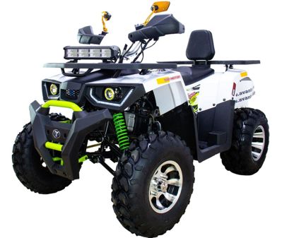 купить Квадроцикл AVANTIS Hunter 200 New Premium (2020) в Москве - фото 