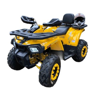 купить Квадроцикл MOTOLAND 200 Wild Track X в Москве - фото 