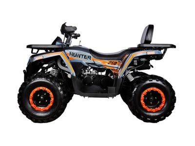купить Квадроцикл AVANTIS H250 BIG NEW Basic в Москве - фото 