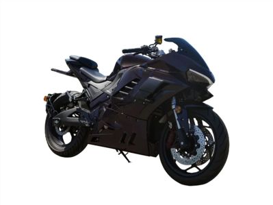 купить Электромотоцикл ECO Ducati Pan PRO Black (5 кВт) в Москве - фото 