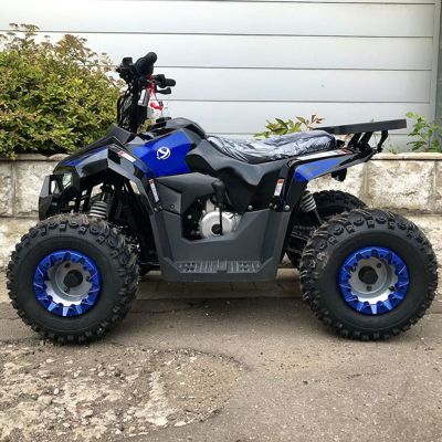 купить Квадроцикл YACOTA Raposa в Москве - фото 