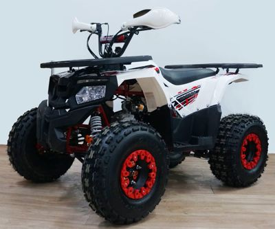 купить Квадроцикл YACOTA Fusion 125 в Москве - фото 