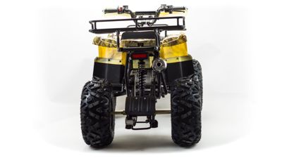 купить Квадроцикл MOTOLAND 150 Maverick в Москве - фото 