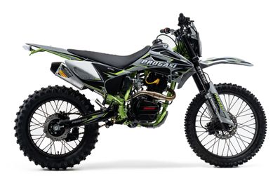 купить Мотоцикл кроссовый эндуро ПРОГАСИ Palma 300 в Москве - фото 