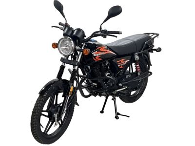 купить Мотоцикл REGULMOTO SK200-20 ENDURO в Москве - фото 