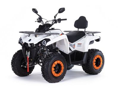 купить Квадроцикл MOTAX ATV Grizlik 200 Ultra в Москве - фото 